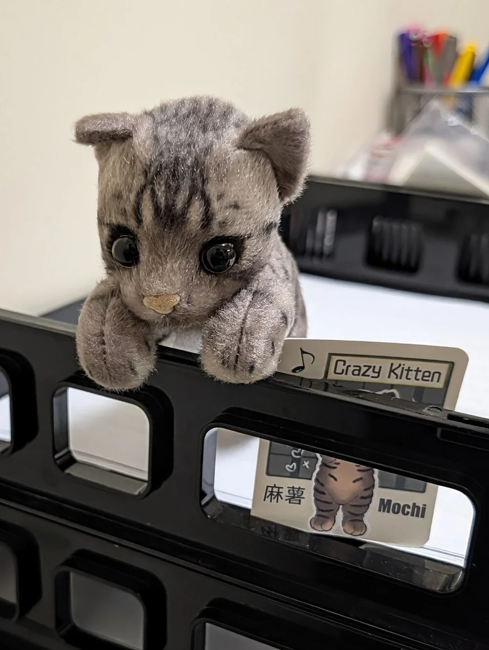 Crazy Kitten Standing Cat Plushie Mochi, UCC, Bag Charm, Keychain, Blind Box
